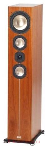 ASW Cantius 604